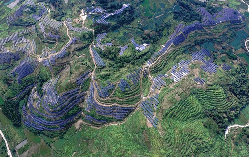 廣州發(fā)展連州星子200MW農(nóng)光互補(bǔ)光伏EPC總承包項(xiàng)目